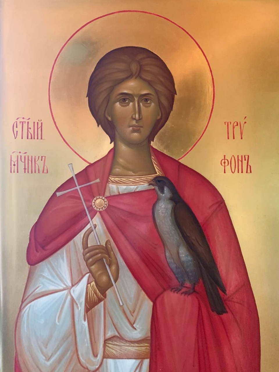 holy-martyrs-tryphon-and-panteleimon2.jpeg